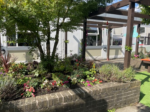 Wokingham Hospital sensory garden flowerbeds in sunshine
